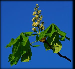 Kurztrip nach Dresden im Wonnemonat Mai