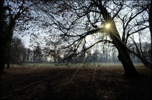 Wolfgang Flunkereien....